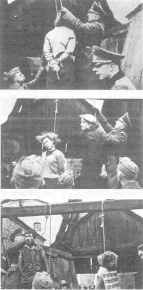 Казнь минских подпольщиков 26 октября 1941 года Мероприятия по массовому - фото 41