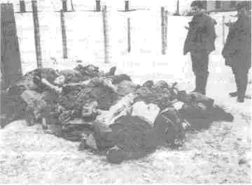 Советские военнопленные уничтоженные нацистами Как правило операции по - фото 48