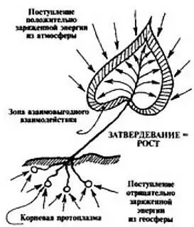 Рис 15 Процесс физического роста Достаточно незначительного повышающего - фото 15