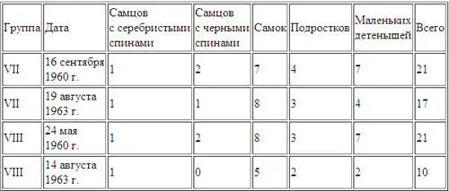 Состав одних и тех же групп горилл в 1960 и 1963 гг Последующие четыре дня не - фото 28