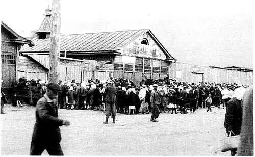 Лошади голодного лихолетья Харьков 1933 год Фото инж А Винербергера - фото 3