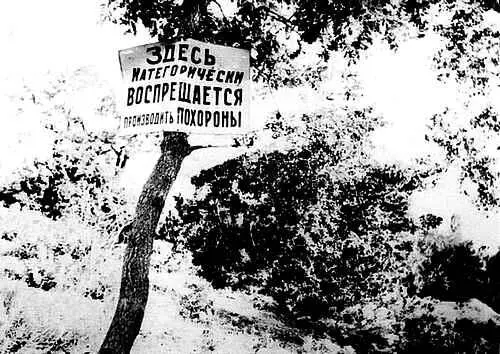 Объявление на окраине Харькова 1933 год Фото инж А Винербергера Никто не - фото 12