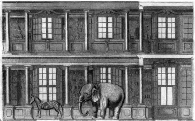 Внутренний вид кунсткамеры из издания Палаты Академии Наук 1741 Первая - фото 22