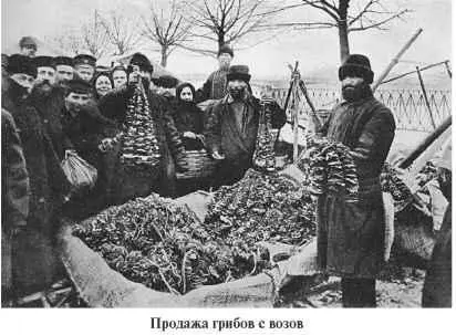 В первые годы столетия содержание репортажей с Грибного рынка практически не - фото 52