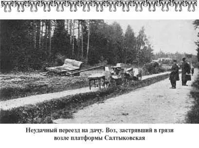 Отпираем дачу Терраса еще непривычно гола Не повешены и не прибиты - фото 180