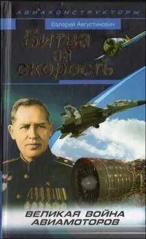 Валерий Августинович - Битва за скорость. Великая война авиамоторов