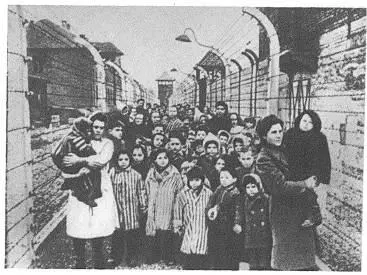 Дети Освенцима спасенные Советской Армией Освобожденный Киев 1943 г - фото 24