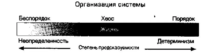 На шкале жизни беспорядок и порядок представляют две крайности а хаос - фото 17