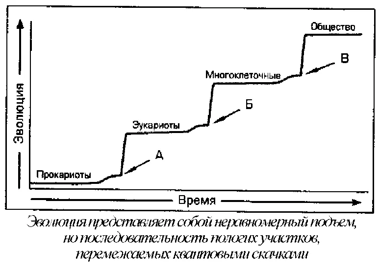 Чтобы проиллюстрировать этот новый взгляд на вещи начертим четыре пологих - фото 23