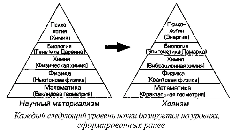 Эта иерархическая структура иллюстрирует что наука на низших уровнях более - фото 25