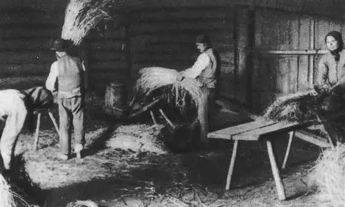Так обмолачивали эстонские крестьяне хлеб еще в 1932 году Мозолистые руки - фото 6