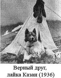 С появлением Казана так назвали собаку моя жизнь совершенно изменилась Три - фото 34