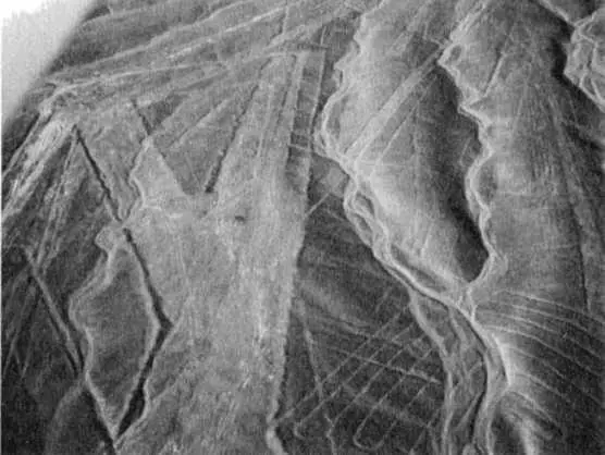 Рис 39 Рис 40 Как в путанице взлетнопосадочных полос объяснить - фото 40