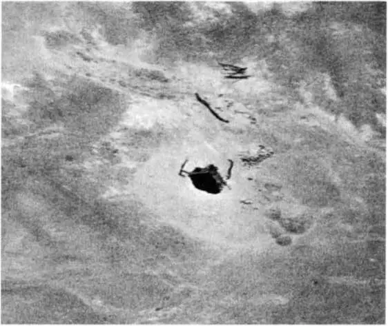 Рис 73 Так что же скрыто в загадке Наска Является ли какаянибудь из - фото 74