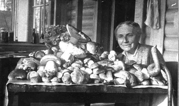 После похода за грибами 1940 Жизнь в Молотове была ужасной Дед долго не мог - фото 22