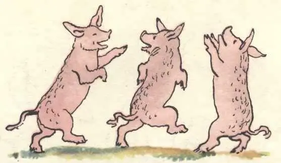 Свинки замяукали Мяумяу Кошечки захрюкали Хрюхрюхрю - фото 1