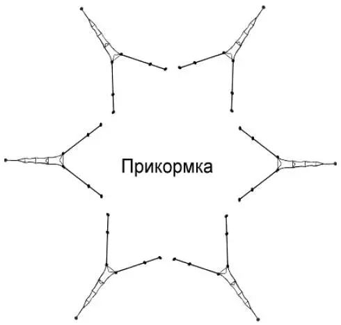 Рис 32 Мережи расположенные звездой вокруг прикормленного места - фото 31