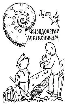 Специалисты считают что сокращать свои размеры Кимериджский бассейн стал - фото 89