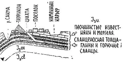 Террикон Куски породы слагающие его конус выветрились с поверхности под - фото 91