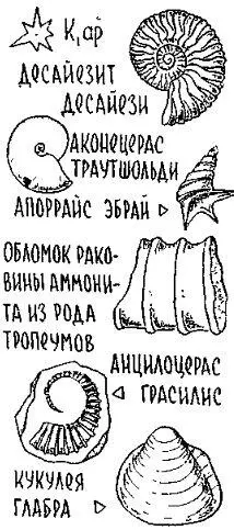 Обрыв Соколовой горы хотя он и был замечательным памятником природы давно - фото 102