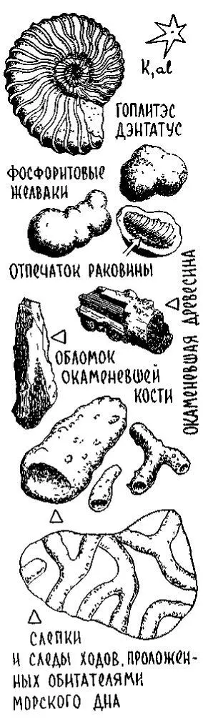 Ну вот Теперь видно что эта страница биографии Альбского моря сложена - фото 106