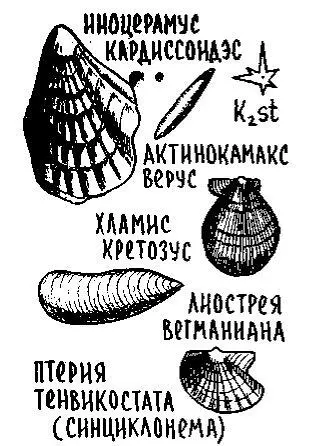 В Можжевеловом овраге как мне известно такое разделение не проводилось и нам - фото 116