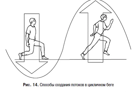 Смена бега и ходьбы рождает цикличное чередование восходящего и нисходящего - фото 14
