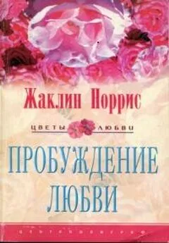 Жаклин Норрис - Пробуждение любви