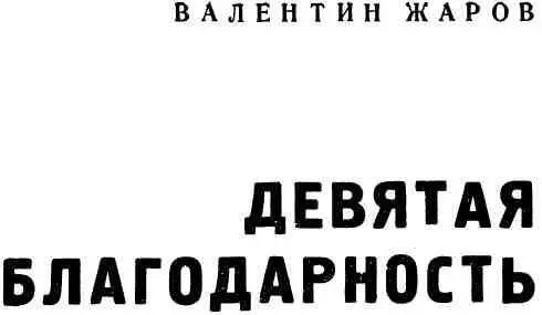 ДЕВЯТАЯ БЛАГОДАРНОСТЬ ДОРОГА совсем новая За кюветами изпод снега - фото 1