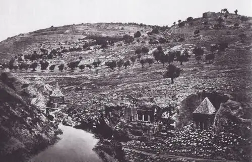 Древние гробницы в Иосафатовой долине Дуб Мамврийский Конец 1870х - фото 60