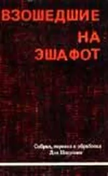 Иосиф Недава - Взошедшие на эшафот. Очерк жизни, борьбы и смерти двенадцати взошедших на эшафот борцов подполья «Эцель» и «Лехи»