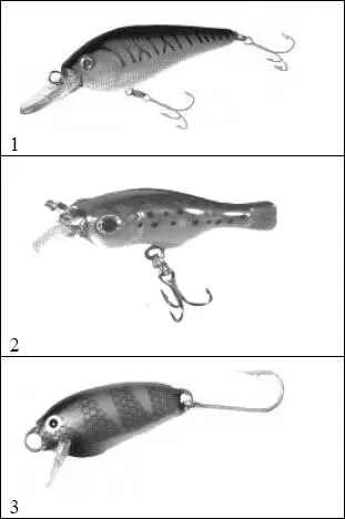 Рис 17 Голавлиные минивоблеры 1 Arms Shad Micro фирмы YoZuri 2 - фото 17