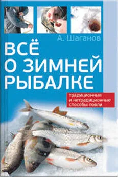 Антон Шаганов - Все о зимней рыбалке