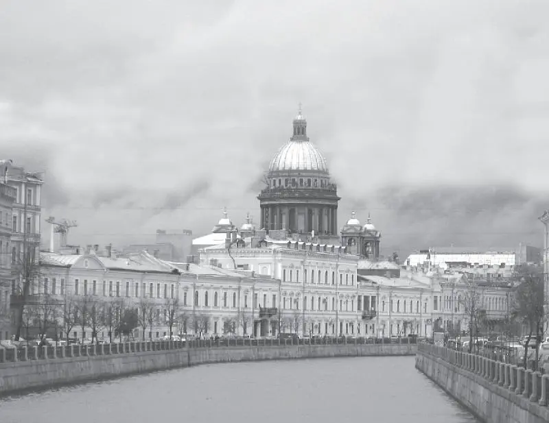 Литература Авсеенко ВН История города СанктПетербурга в лицах и картинках - фото 311