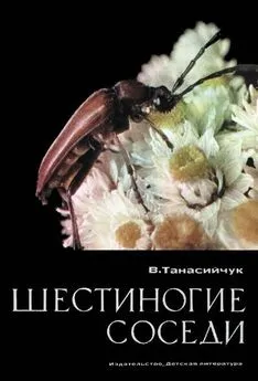 Виталий Танасийчук - Шестиногие соседи