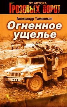 Александр Тамоников - Огненное ущелье