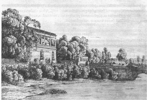 Камеронова галерея в Царском Селе Автолитография А Мартынова 1822 г 57 - фото 104