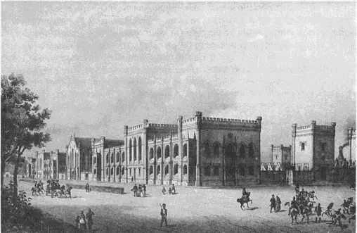 Петергоф Императорские конюшни Литография К Шульца 1830е гг 183 - фото 115