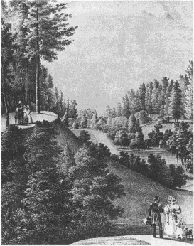 Павловский парк Литография по рисунку В Садовникова 1830е 475 Права - фото 135