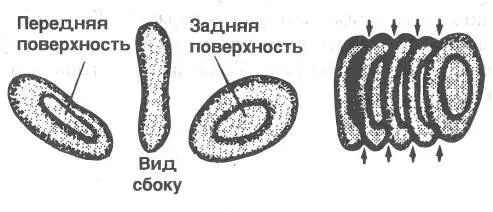 Что же мы должны делать чтобы избежать этих проблем Мы должны пересмотреть - фото 2