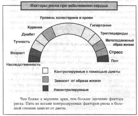 Наиболее серьезным фактором риска является повышенное содержание холестерина - фото 7