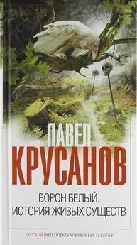 Павел Крусанов - Ворон белый. История живых существ