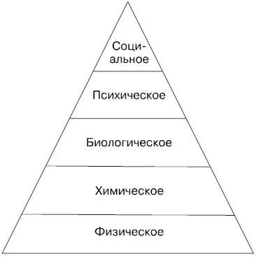 Рис 21Формы движения В основании пирамиды лежит физическая форма движения - фото 4