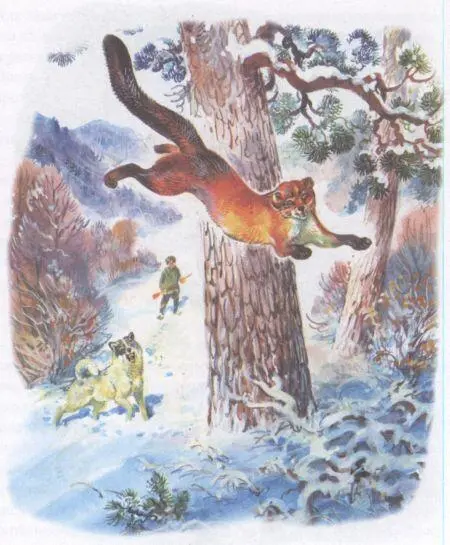 С быстротой птиц неслись звери по ветвям перепрыгивая с дерева на дерево - фото 12