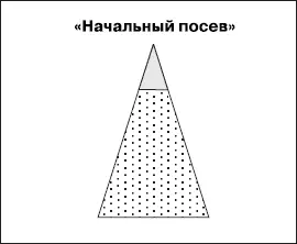 Первая стадия начальный посев ТМидеи Основные задачи стадии вызвать у - фото 95