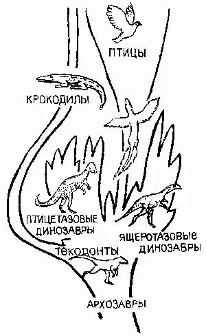 Родословное древо архозавров Таким образом мы с вами столкнулись с одним из - фото 3