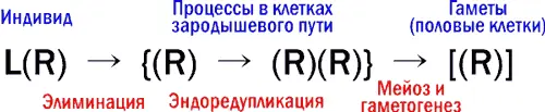 То что показано на этой схеме иначе было отражено на этомрисунке Гибридные - фото 6