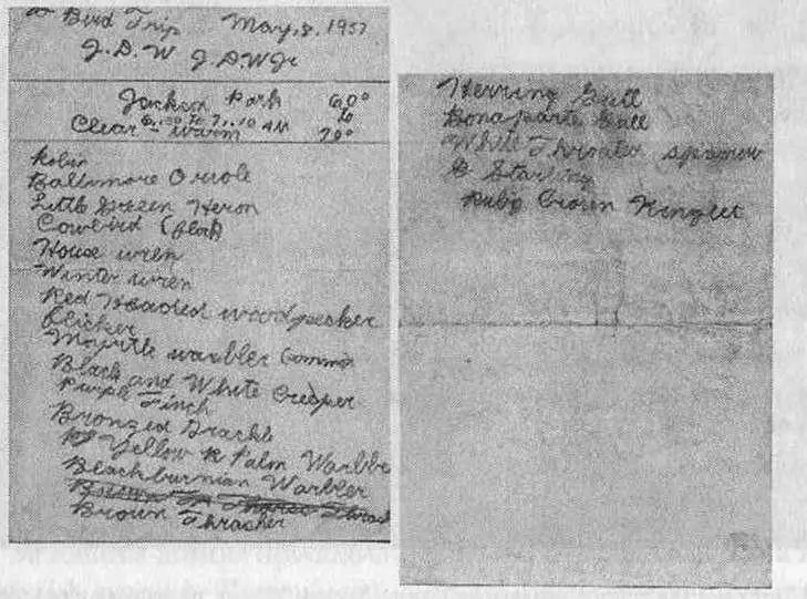 Я рано научился у отца аккуратно вести записи наблюдений за птицами По утрам - фото 6