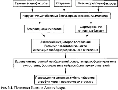 Следует отметить что начальные признаки альцгеймеровской дегенерации такие - фото 8