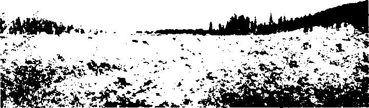 Аласуйская долина Урянхай сKit из кн Каррутерс Д 1914 Не - фото 46